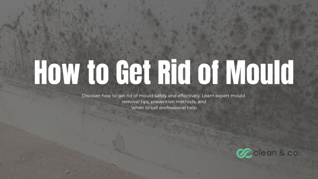 how to get rid of mould