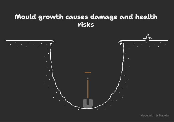 how to get rid of mould